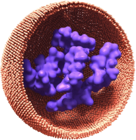 amikacin liposome inhalation suspension and pulmovance technology